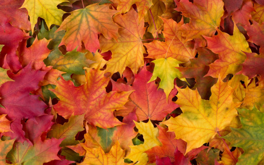 1099836 (a): :2880x1800